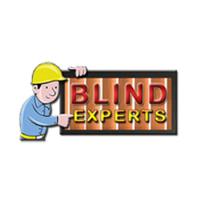 Blind Experts image 1